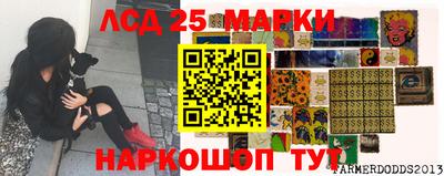 Альфа ПВП Рузаевка