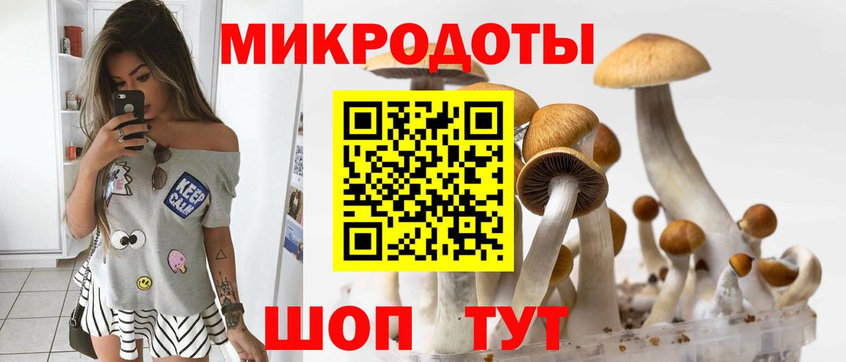 Псилоцибиновые грибы Cubensis  Вход с VPN  Новороссийск 